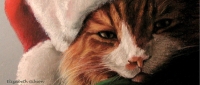 Murry Christmas