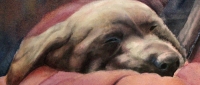 Sleep Tight