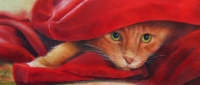 Undercover Agent