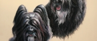 Wolfi and Tich