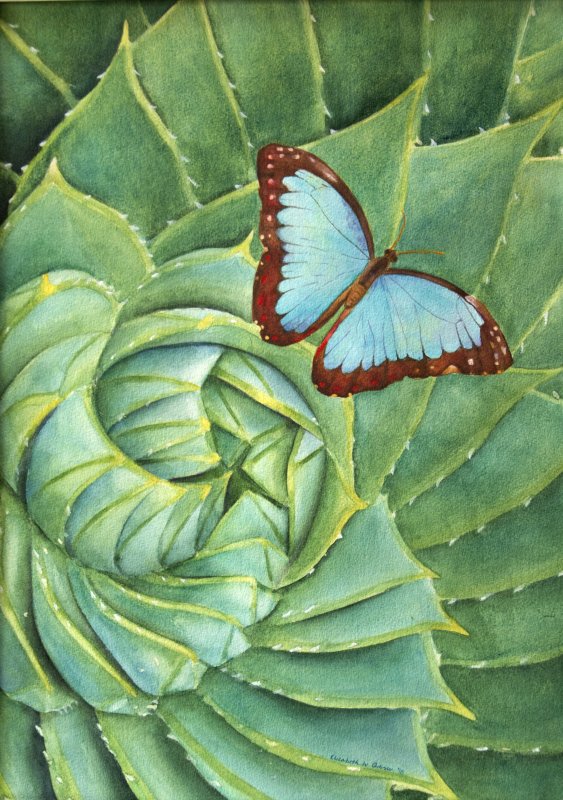 Acrylic Still Life of Butterflies