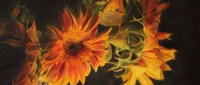 Summer Flame